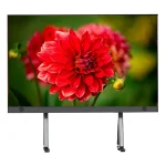 Vibrant red dahlia flower displayed on a digital screen with a blurred background.