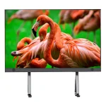 A vibrant image of flamingos displayed on a television screen with a green background.